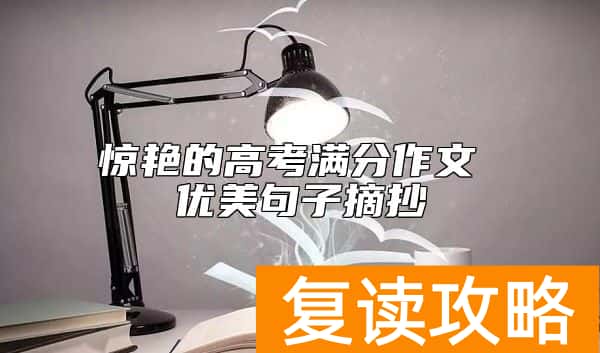 惊艳的高考满分作文 优美句子摘抄