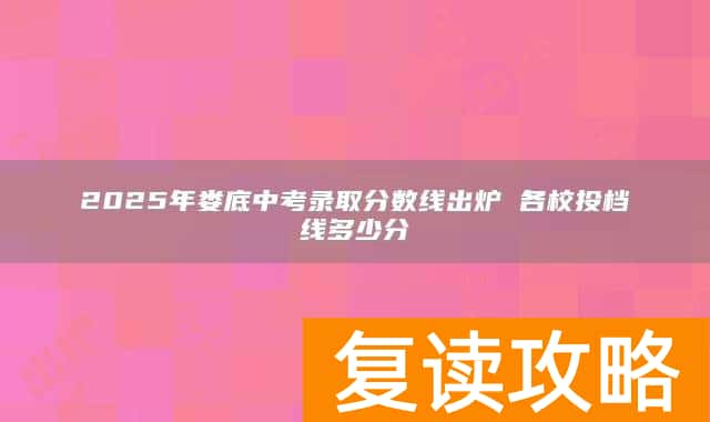 2025年娄底中考录取分数线出炉 各校投档线多少分
